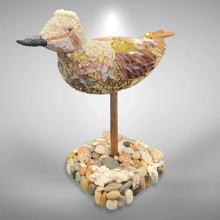 Shorebird_Claire perkins